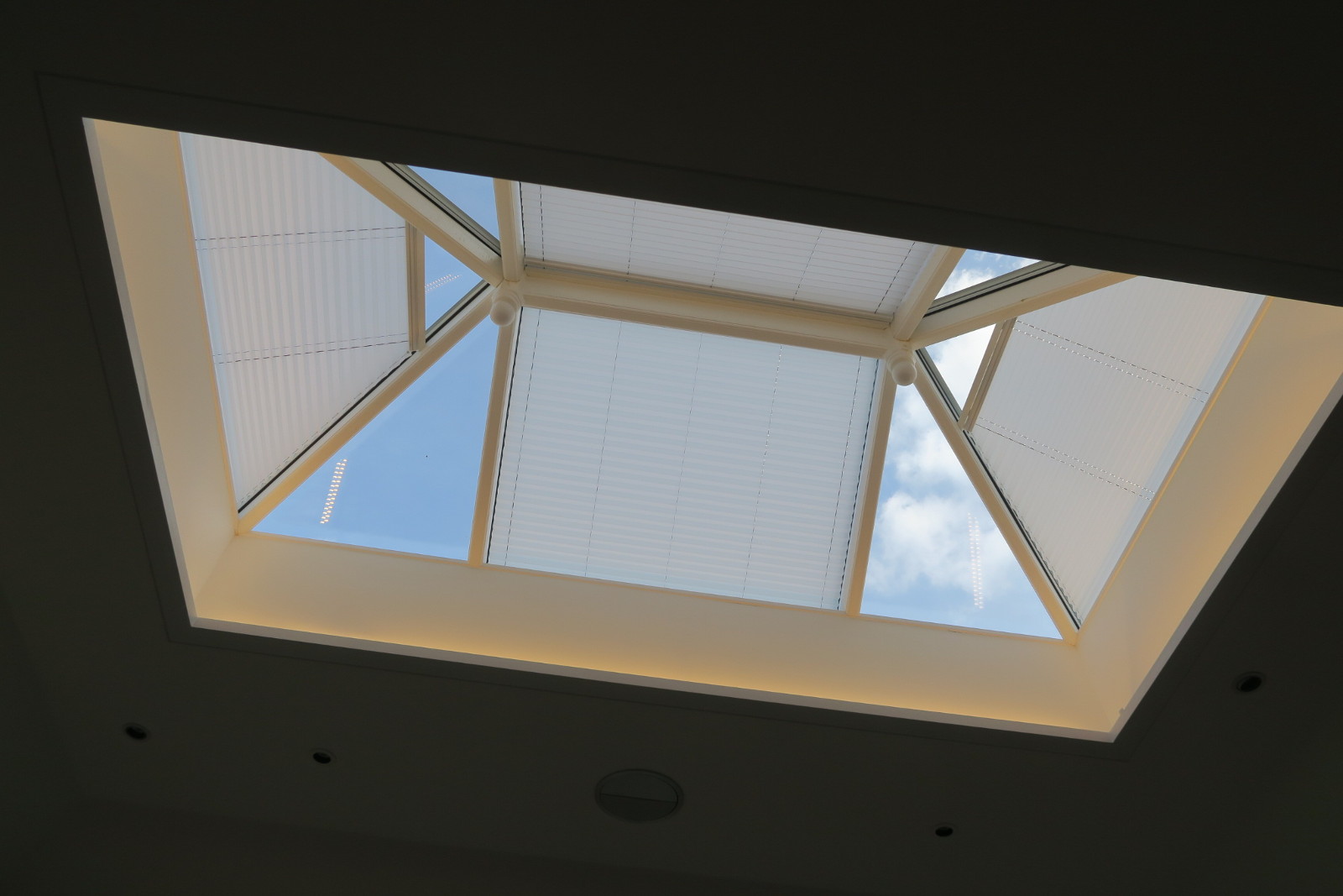 shaped pleated blinds